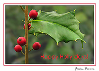Happy Holly-days
