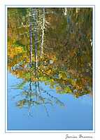 Autumn Pond Reflection