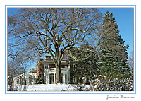 Woodend Winter East Side